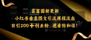 小红书的竖直图文并茂引流课程排出，日引200 自主创业粉，请查收防和睦
