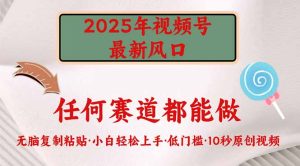 2025年微信视频号新蓝海，门槛较低只需没脑子实行