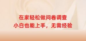 在家里轻轻松松做问卷调查，新手也可以入门，无需经验