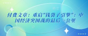 付费文章：重新启动”钱袋模块”：中国经济发展突围战的最后一公里