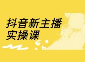 抖音新网络主播实操课，直播房间营销运营网上实操课(18节)