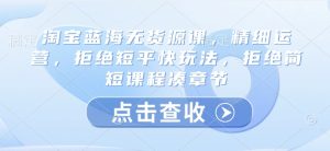 淘宝网瀚海无货源电商课，细致经营，回绝稳准狠游戏玩法，回绝简洁明了课程内容凑章节目录