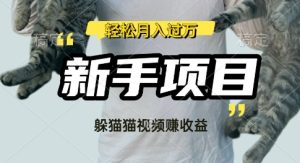 运用外国人捉迷藏比赛短视频，挣分为盈利，使用方便，新手入门，轻轻松松月入了W