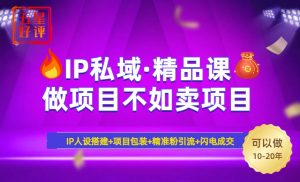 2025年“IP公域·密训班精品课程”，日赚3000 新手防坑月入十万，暴力行为引流方法…