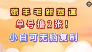 信息不对称新项目，运单号0撸140，可引流矩阵多号多撸，新手0难度系数入门