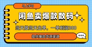 淘宝闲鱼爆款货源，那天做当日开单，一单利润3张