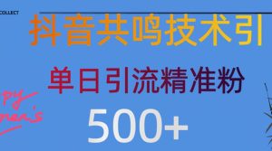 抖音情感引流方法自主创业粉，当然降低成本，日引500