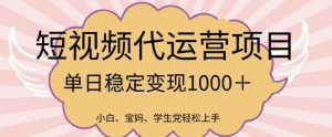 2025全新蓝海项目，新媒体代运营日入好几张