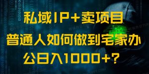 公域IP 卖项目，平常人怎样做到蹲在家里办公室完成日入1000
