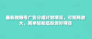 新视频号广告分成计划项目，可引流矩阵变大，简单轻松低好的投资项目