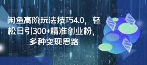 闲鱼平台高级技巧攻略4.0，轻轻松松日引300 精确自主创业粉，多种多样转现构思