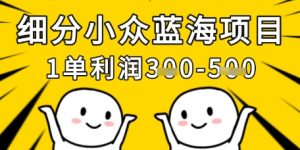 细分化冷门蓝海项目，一单利润3张，每月工作稳定过1w