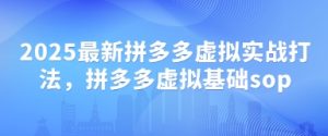 2025全新拼多多平台虚似实战演练玩法，拼多多平台虚似基本sop