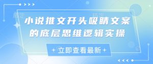 小说集推文开头引人注意文案的思维模式逻辑性实际操作