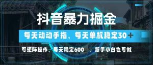 抖音视频暴力行为掘金队，动动手就能，单机版30 ，可引流矩阵实际操作，每日平稳600 ，……