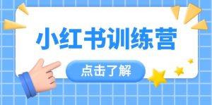 小红书的夏令营，助新手新手入门，找对方法变大咖，课程内容实际操作又全方位（12堂课）