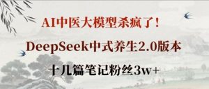 AI中医大实体模型超神了！DeepSeek新中式健康养生2.0版本号，十几篇手记粉丝们3w