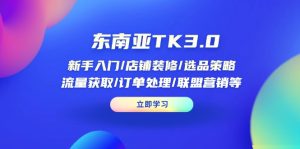 东南亚地区TK3.0：初学者/店面装修/选品策略/流量获取/订单管理/无线推广等