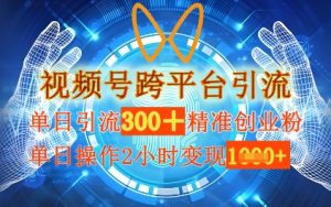 微信视频号跨平台推广，单日实际操作2钟头，单日引流方法300 精确自主创业粉，单日转现多张
