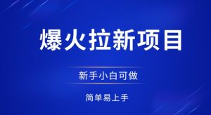 爆红拉新项目，有手就行，新手轻松入门，日入1预应力新全套步骤
