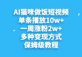 AI猫猫煮饭小视频，一条播放视频10w ，一周升分2w ，多种多样变现模式，家庭保姆级实例教程