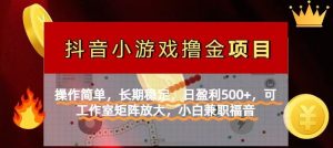 【抖音小游戏外国投资者计划项目】使用方便，持续稳定，日赢利500 ，可工作中…