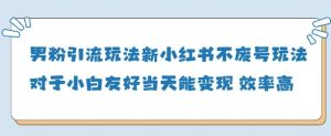 粉丝引流方法游戏玩法(新)，游戏玩法友善做得好当天就能转现