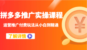 拼多多推广实操课程：运营推广付费玩法从小白到精通