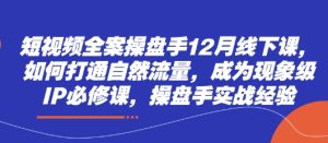小视频软装股票操盘手12月面授课，怎样连通自然搜索流量，变成卓越IP必修课程，股票操盘手实践经验