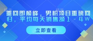 重返即顶峰，粉丝新项目强势归来，每天至少销售总额1-4W