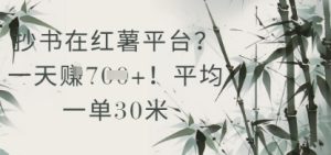 抄写在小红书服务平台？平均一单30米，一天盈利多张！