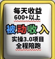 互联网赚钱实际操作.新项目，每日盈利张 之上，可以长期实际操作