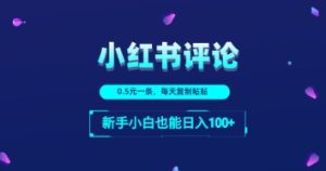 小红书的评论区留言：一条0.5元，每日拷贝，新手入门也可以日入1张