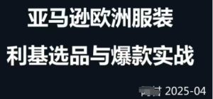 跨境电商选品实例24-25年，对焦跨境电商选品策略与运营优化，助推商家发掘朝阳行业