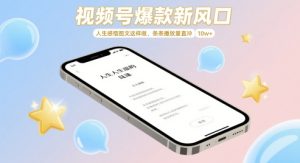 微信视频号爆品新蓝海，人生的感悟图文并茂这么做，一条条播放率冲着 w