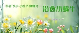 玩命受欢迎！抖音视频，小红书的，微信视频号小乌龟治好的短视频，轻轻松松制做 迅速取得结论