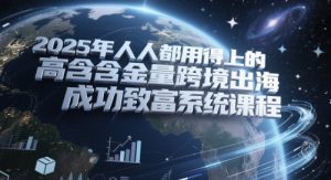 2025年每个人都用得上的高认可度跨境出海取得成功发家致富系统课程