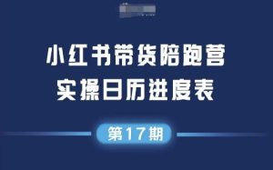 小红书第17期带货陪跑营，不囤货，无不直播，无不投流，通过选品+笔记内容+测品+笔记铺量+矩阵运营打爆款