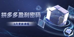拼多多盈利密码：从烧钱推广到印钞模型，底层逻辑重构指南（6月更新）