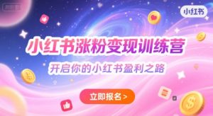 小红书涨粉变现训练营，开启你的小红书盈利之路