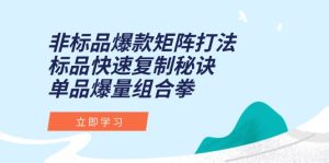 非标品爆款矩阵打法，标品快速复制秘诀，单品爆量组合拳