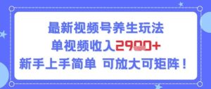 视频号养生玩法，单视频收入2.9k，新手上手简单