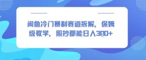 闲鱼冷门暴利赛道拆解，保姆级教学，照抄都能日入3张+