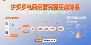 拼多多电商运营完整实战体系，从选品上架到稳定盈利完整商业闭环(更新8月)