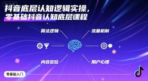 抖音底层认知逻辑实操，零基础抖音认知底层课程