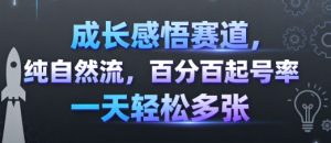 成长感悟赛道，纯自然流，百分百起号率 一天轻松多张