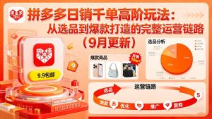 拼多多日销千单高阶玩法:从选品到爆款打造的完整运营链路(9月更新)