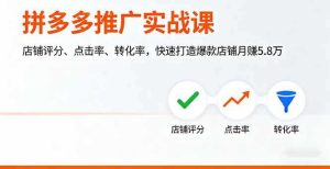 拼多多推广实战课,店铺评分、点击率、转化率,快速打造爆款店铺月赚5.8万