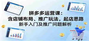 拼多多运营课:含店铺布局、推广玩法,起店思路,新手入门及推广问题解析