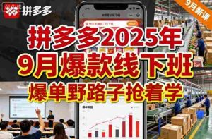 拼多多2025年9月爆款线下班,爆单野路子抢着学